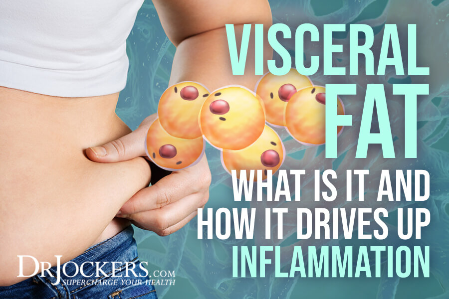 visceral fat