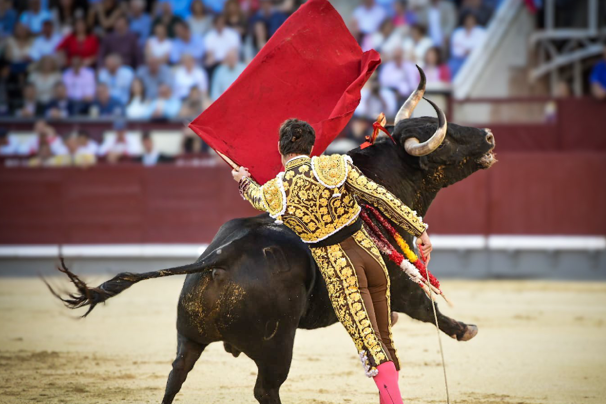 Toros de San Fermín 2024 del 12 de julio