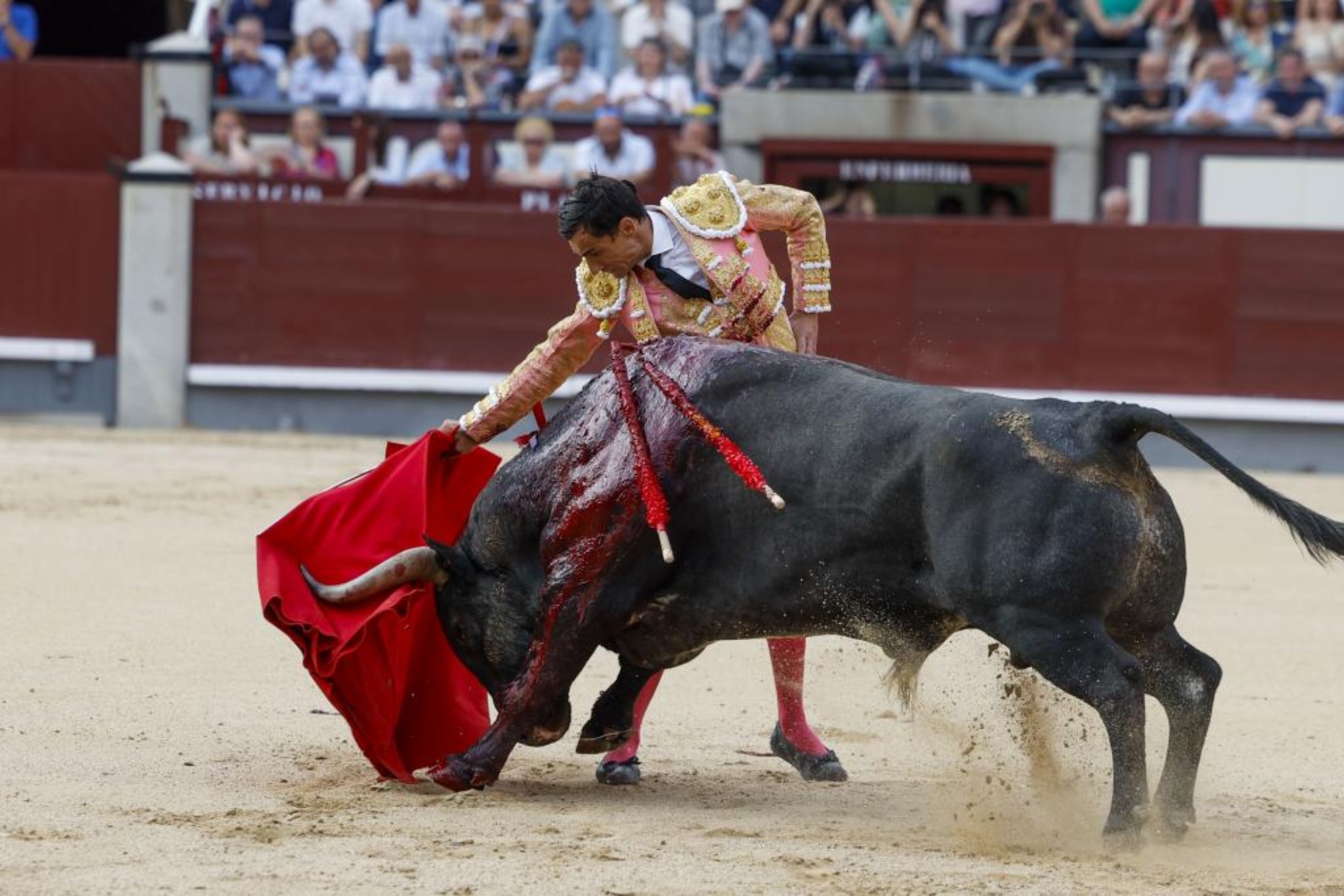 El diestro Paco Ureña da un pase durante la Corrida de la Asociación de la Prensa.