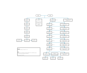 Adam and Eve Family Tree