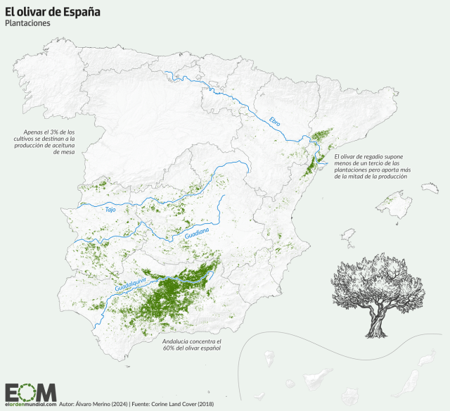 El mapa de los olivos de España