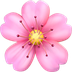 Bagaimana Cherry Blossom emoji terlihat di Apple.