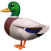 Bagaimana Duck emoji terlihat di Apple.