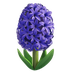 Bagaimana Hyacinth emoji terlihat di Apple.