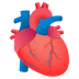 Bagaimana Anatomical Heart emoji terlihat di Joypixels.