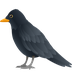 Bagaimana Black Bird emoji terlihat di Joypixels.