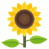 Bagaimana Sunflower emoji terlihat di Joypixels.