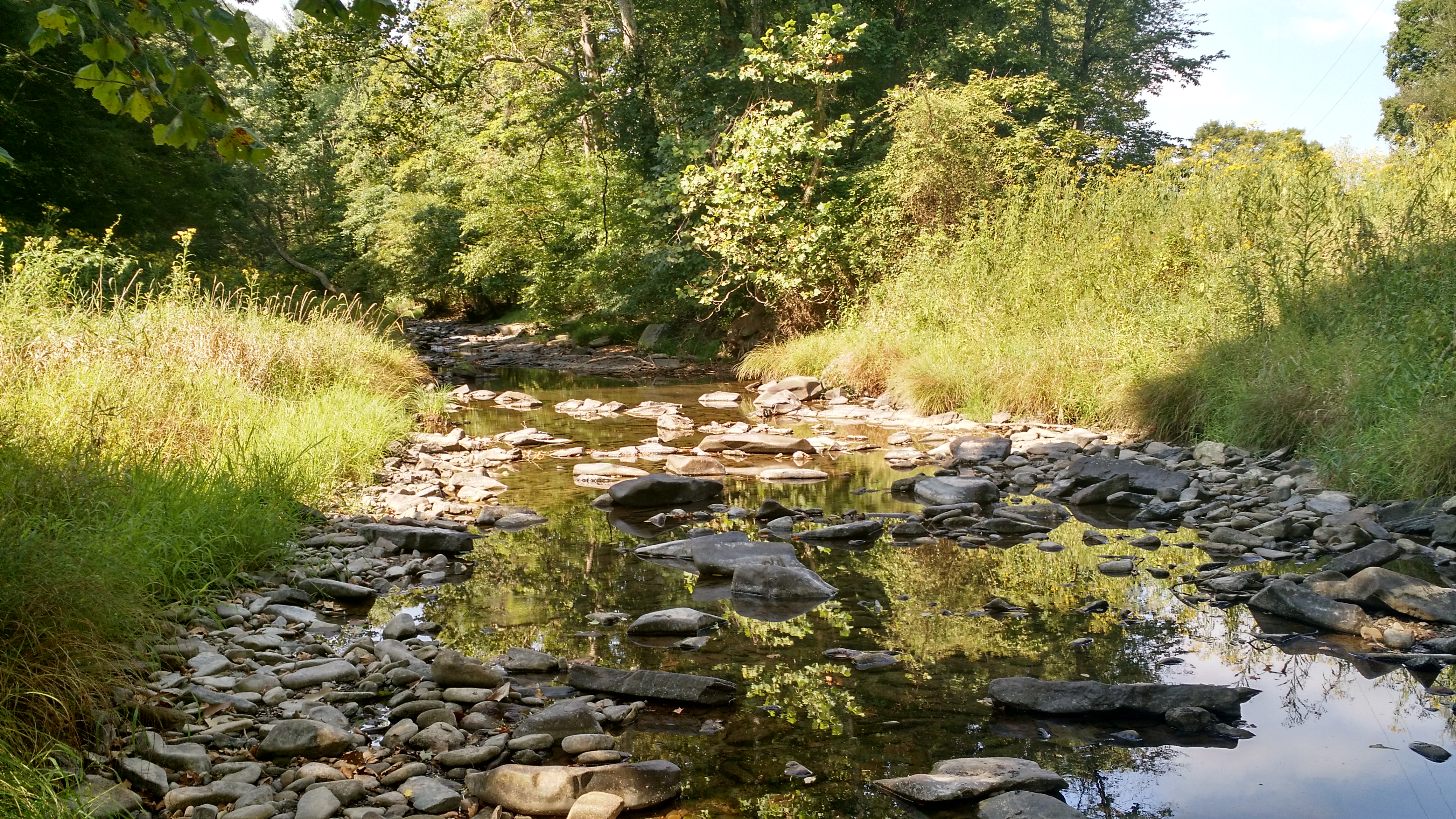 The Bergton Stream