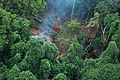 Koh Kong logging.JPG