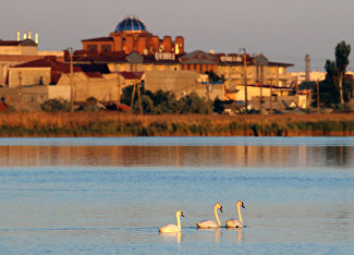 Sasyk Salt Lake