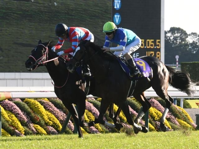 Japanese Triple Crown: List of Japanese Triple Crown Winners. Orfevre becomes 8th winner of Triple Crown