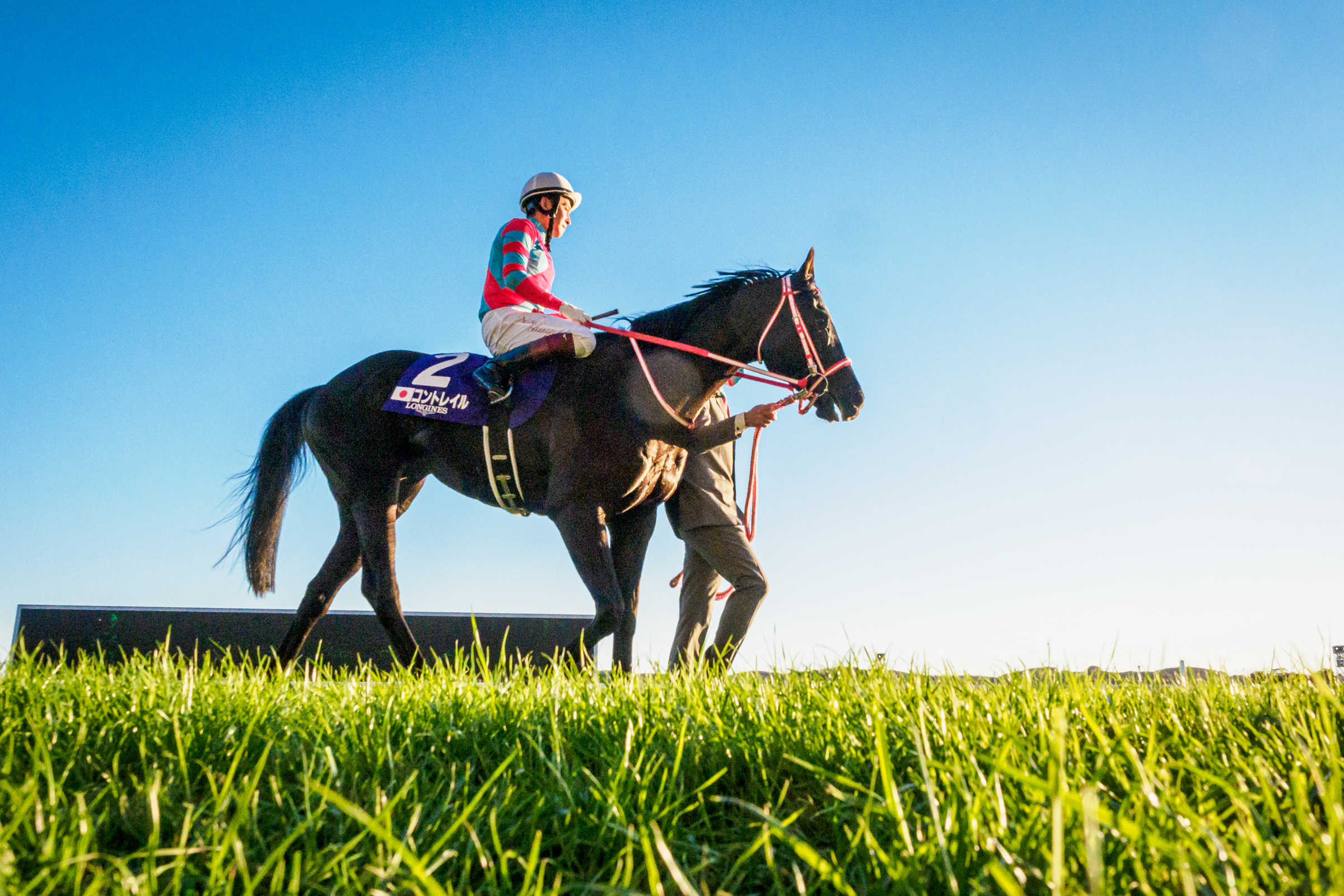 JRA Hall of Fame: List of JRA Hall of Fame inductees. Almond Eye has been selected as the 35th Hall of Fame inductee