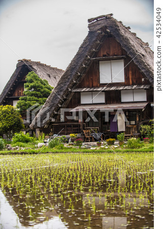 白川鄉合掌村 42534049