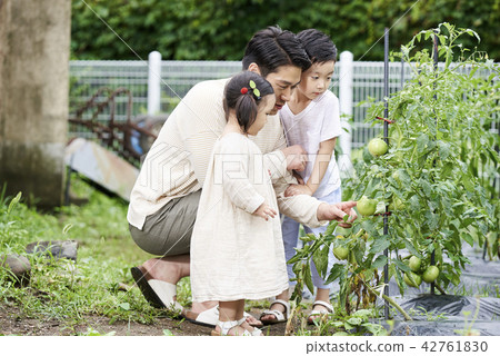 家庭花園，家庭，韓國 42761830