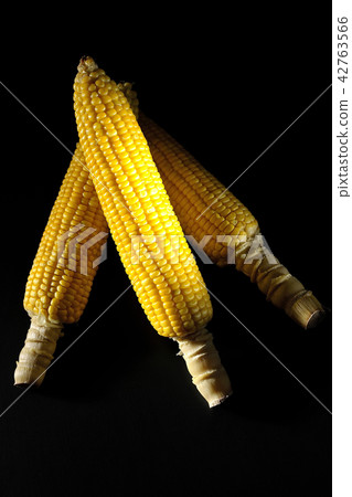 Corn 42763566