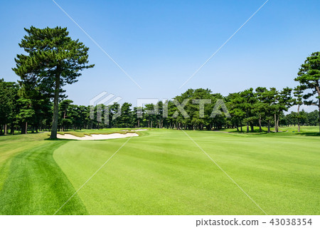 Golf course Golf course Fairway 43038354