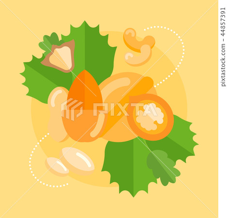 Vector Banner of Nuts. 44857391