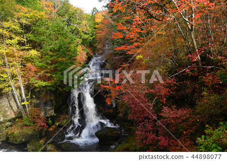 October Nikko 122 Ryugano Waterfall, colored leaves 44898077