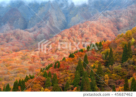 Autumn leaves of Oyama 45687462