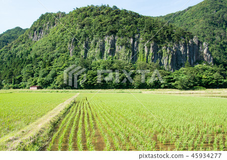 Paddy field and rocky mountain in Goka Village, Oki island town 45934277