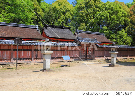 Many green nine places Myojin (Ninna-ji) 45943637