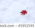 Snow and Momiji 45952595