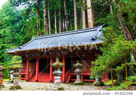 Fresh green Nikko Sanwa Odera World Heritage Site [Nikko City, Tochigi Prefecture] 45302206