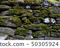 pebble wall with moss, National Park, County 50305924