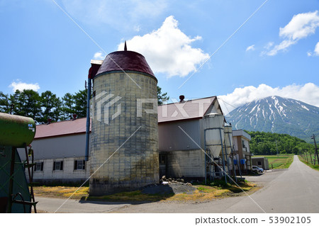 Photographing the scenery of a ranch with silos in Kutchan-cho, Hokkaido in early summer 53902105