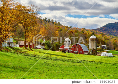 Farm with red barn and silos in Vermont 55593081