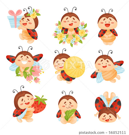 Set of cartoon ladybugs. Vector illustration on a white background. 56852511