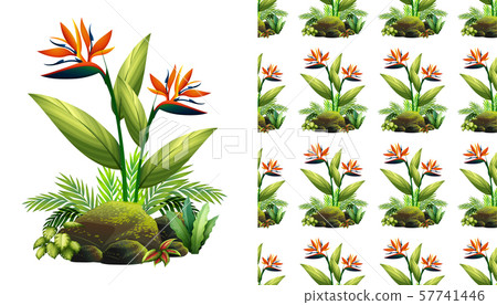 Seamless background design with bird of paradise 57741446