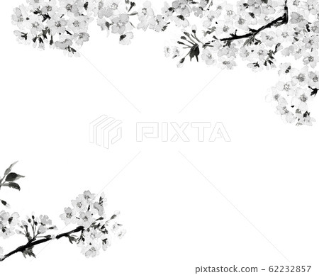 Cherry blossom, cherry tree, yoshino cherry tree 62232857