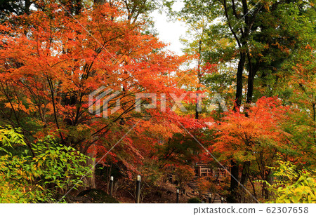 Nasu plateau private garden 62307658