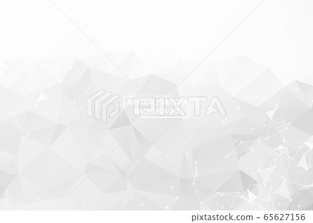 Abstract White Polygonal Space Background with 65627156