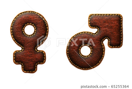 Set of symbols female and male made of leather. 3D render font with skin texture isolated on white background. 65255364