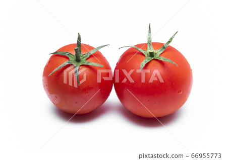 [Summer image] Tomato 66955773