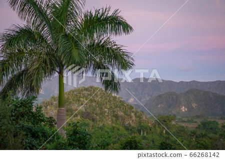 The Vinales Valley (Valle de Vinales), popular tourist destination.  66268142