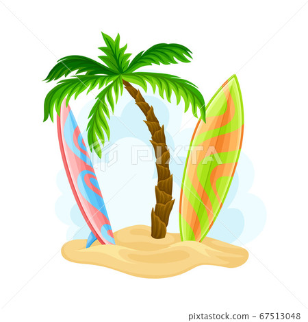 Surfboards for Riding Ocean Waves Rested on Sand with Palm Tree Hawaiian Vector Illustration 67513048