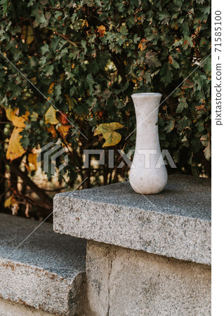 Marble empty vase on green leaves background outdoors 71585100