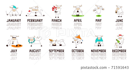 Chinese New Year 2021. The Year of the Ox. Happy, smiling bull, cow. Set of vector illustrations in cartoon style isolated on white. Collection of funny cute kawaii characters for calendar print 71591643