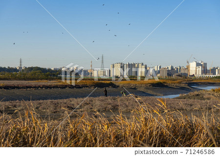 Siheung Tidal-Ecological Park, Siheung City, Gyeonggi-do 71246586