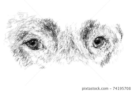 Dog's devoted eyes hand drawn illustration 74195708