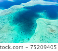 Aerial: exotic tropical island white sand beach away from it all, coral reef caribbean sea turquoise water. Indonesia Sumatra Banyak islands 75209405