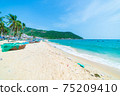 Secluded tropical beach turquoise transparent water palm trees, Bai Om undeveloped bay Quy Nhon Vietnam central coast travel destination, desert white sand beach no people clear blue sky, expansive 75209410