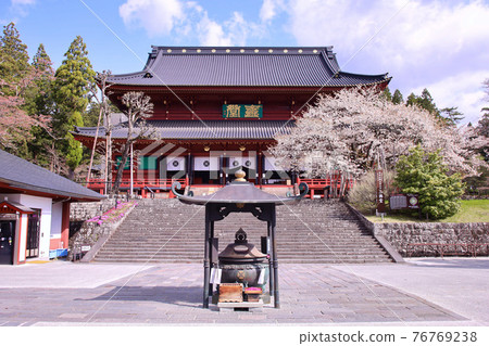 2021 Nikkozan Rinnoji Temple Sanbutsudo and Kongozakura (national natural monument) 76769238