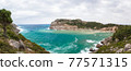 Anthony Quinn bay panorama on a cloudy day 77571315