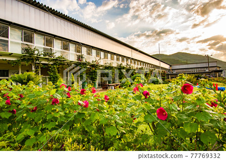 Scenery of Roadside Station Hota Elementary School, which was renovated from an abandoned elementary school in Kyonan-cho, Awa-gun, Chiba Prefecture. 77769332