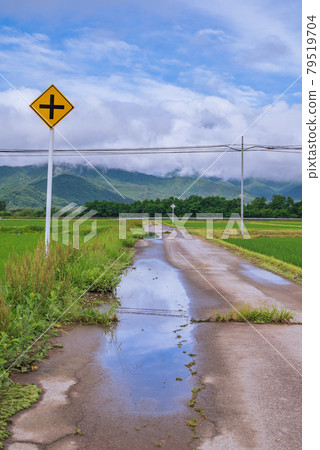 Puddle and clouds [Countryside scenery] 79519704