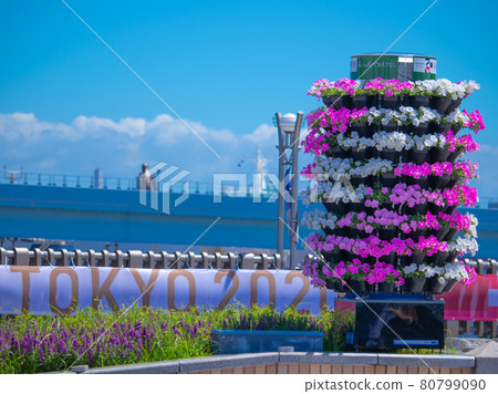 Flower scenery in Odaiba 80799090